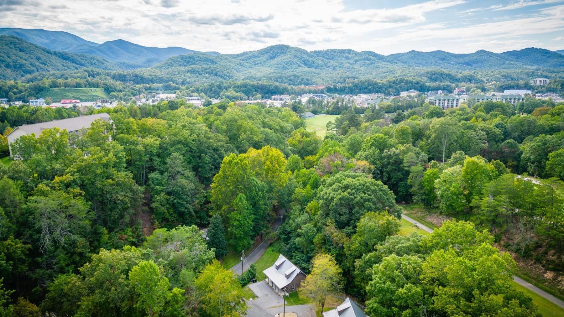 Bear Clubhouse Hot Tub, 1Mile From The Parkway, 900 In Free Tickets! Pigeon Forge Exterior foto